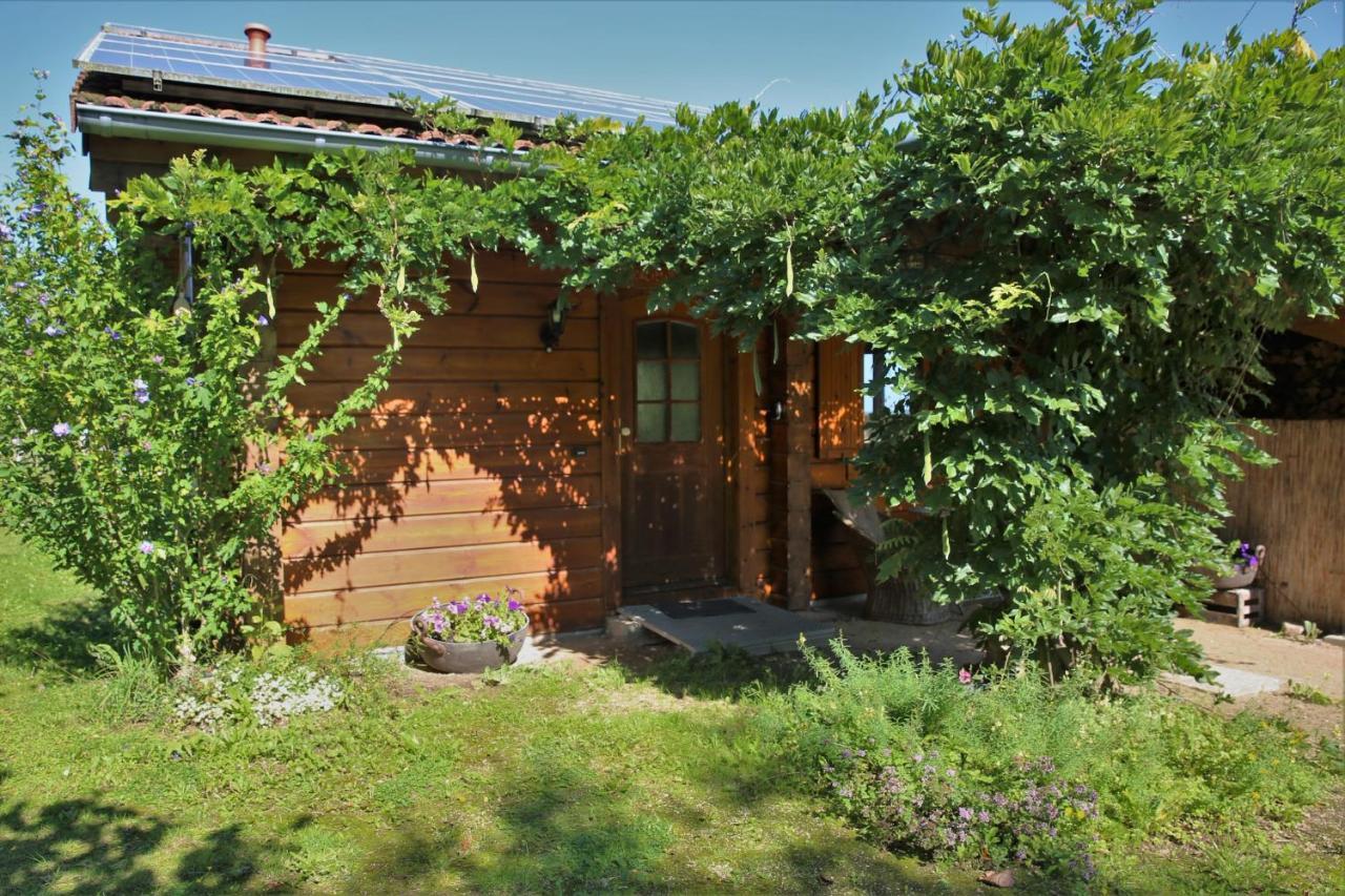 Vila Norwegisches Blockhaus Bad Muenstereifel Exteriér fotografie